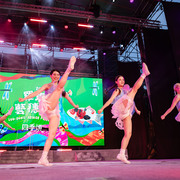 2025 羅東藝穗節開幕晚會